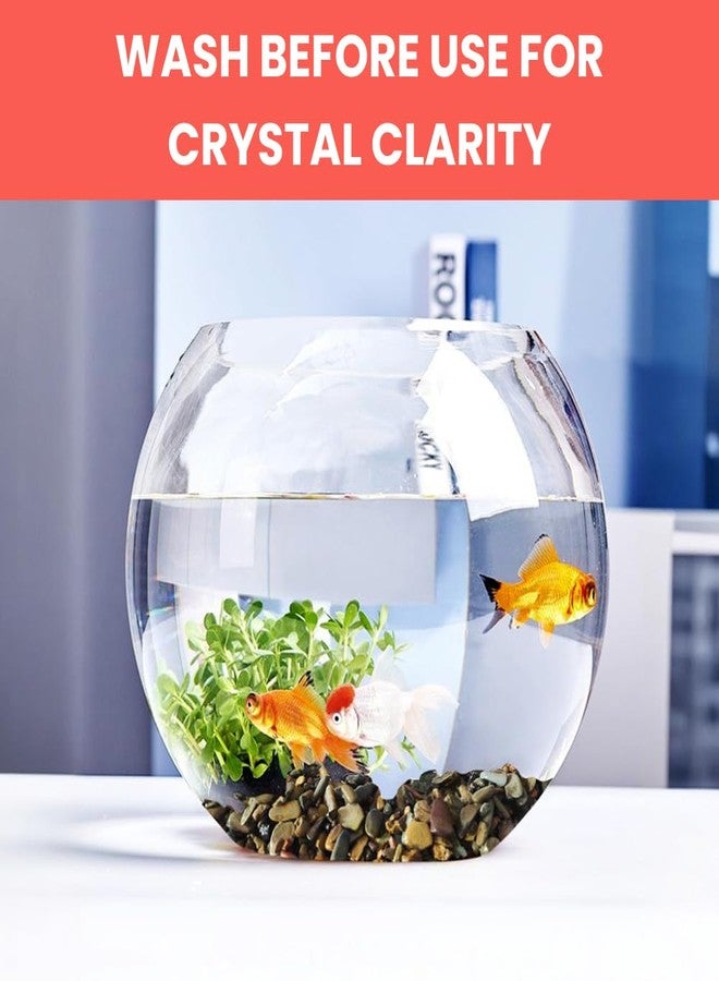 VAYINATO Flat River Stream Stone Rio Xingu - Natural Aquarium Gravel Pebbles for Aquascaping, Terrariums, and Home Decor | Natural, River, Pebbles (3 Kg) - Image 3